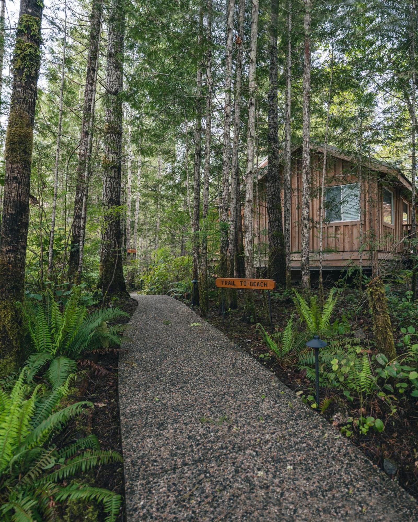 West Coast Wilderness Lodge Egmont Luaran gambar